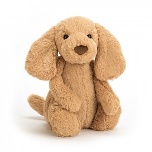 Medium Jellycat Bashful Toffee Puppy | 30PTWQRXB