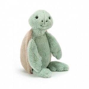 Medium Jellycat Bashful Turtle | 39PXAKJUC