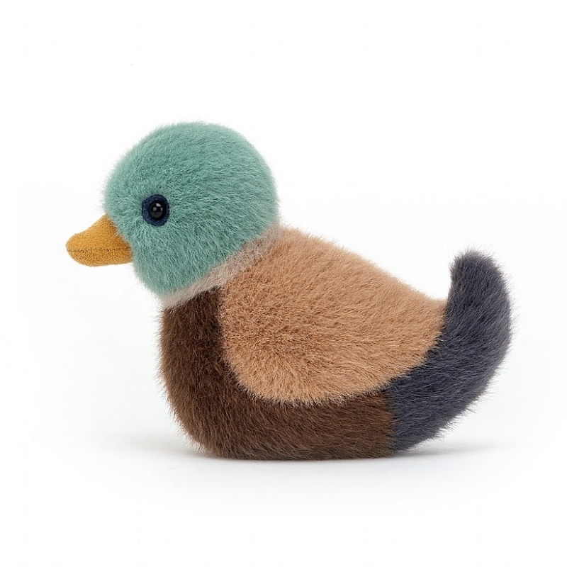 Jellycat Birdling Mallard | 37EVJWHUS