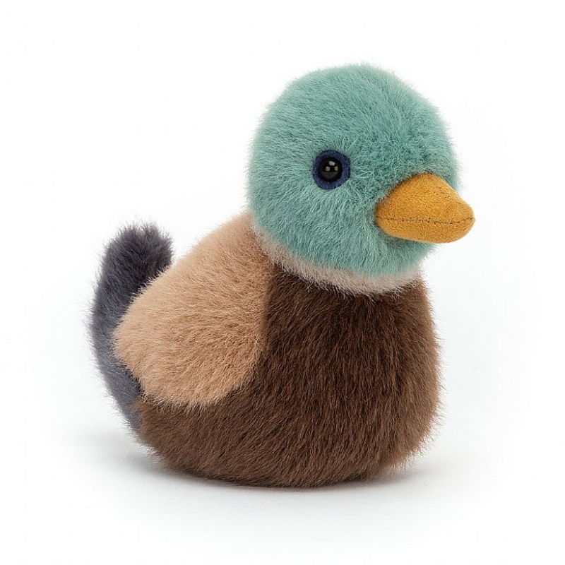 Jellycat Birdling Mallard | 37EVJWHUS