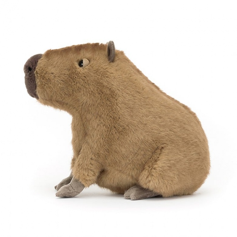 Jellycat Clyde Capybara | 19NVRDGZC