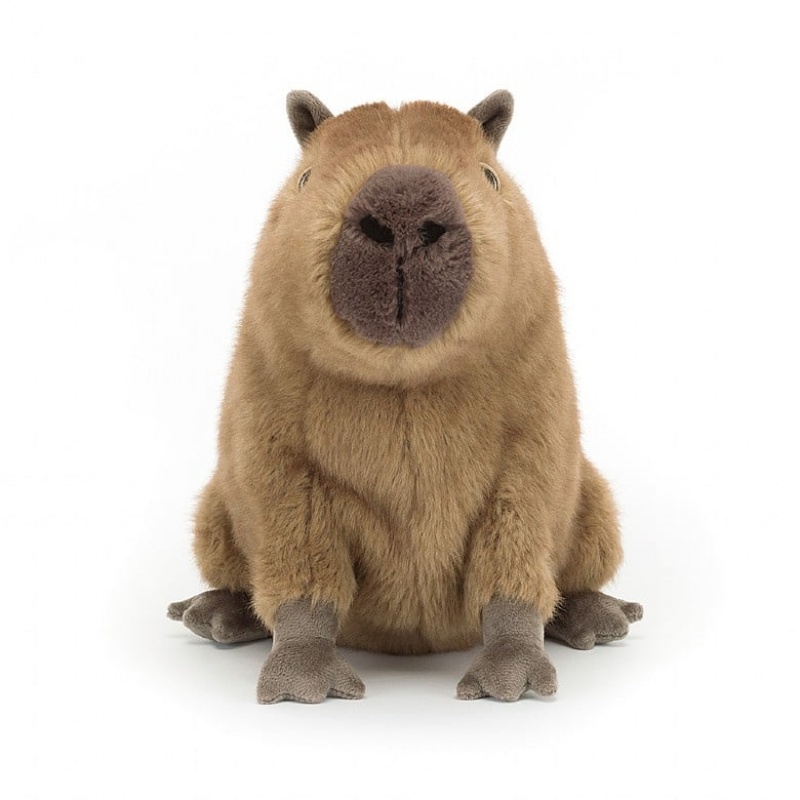 Jellycat Clyde Capybara | 19NVRDGZC