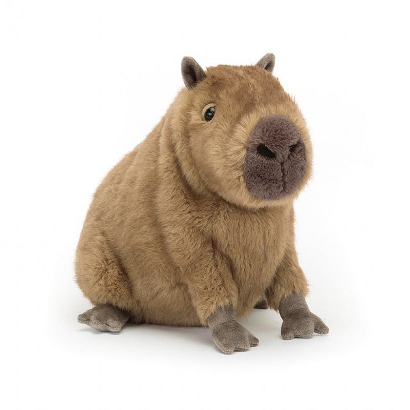 Jellycat Clyde Capybara | 19NVRDGZC