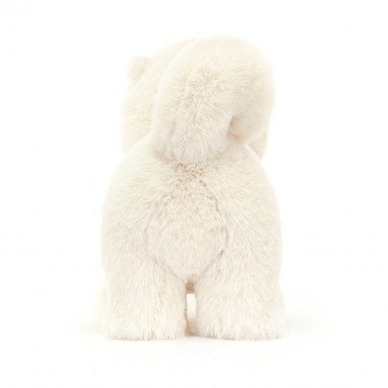 Jellycat Daphne Pomeranian Clearance Sale | 73JYCFBIO