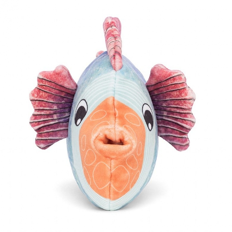 Jellycat Fishiful Blue | 19ELICGPZ