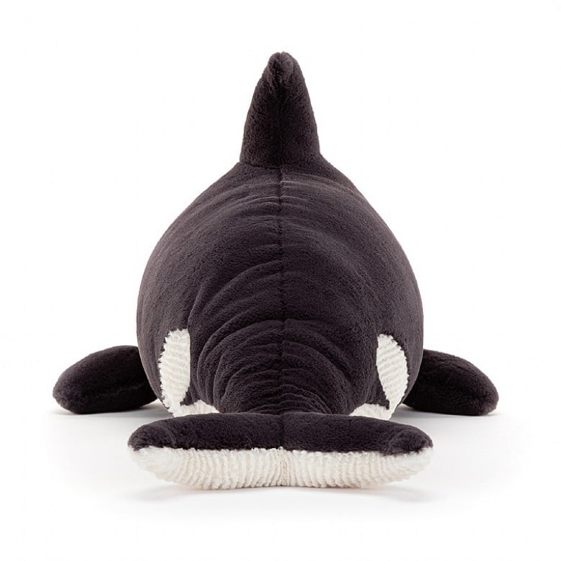 Jellycat Ollivander the Orca | 38UHQEZXO