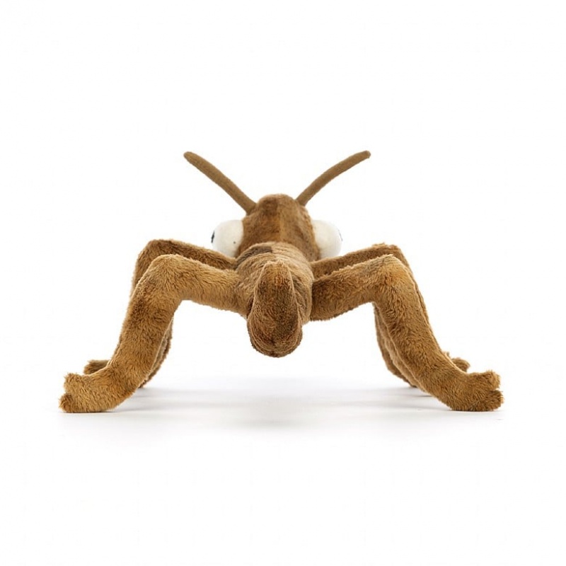 Jellycat Stanley Stick Insect | 17UAIGSWB