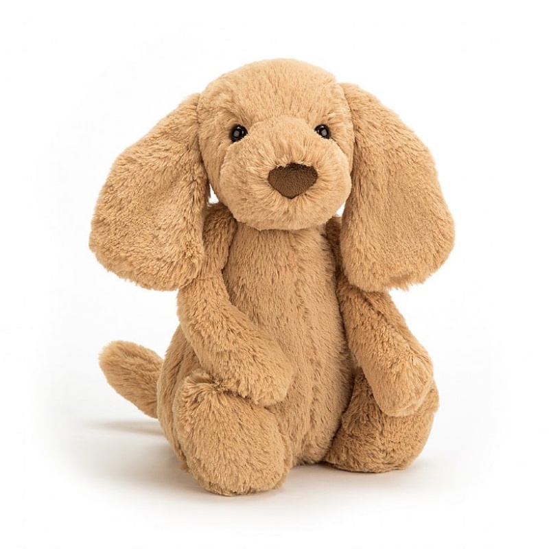 Medium Jellycat Bashful Toffee Puppy Outlet | 21NBMQETH