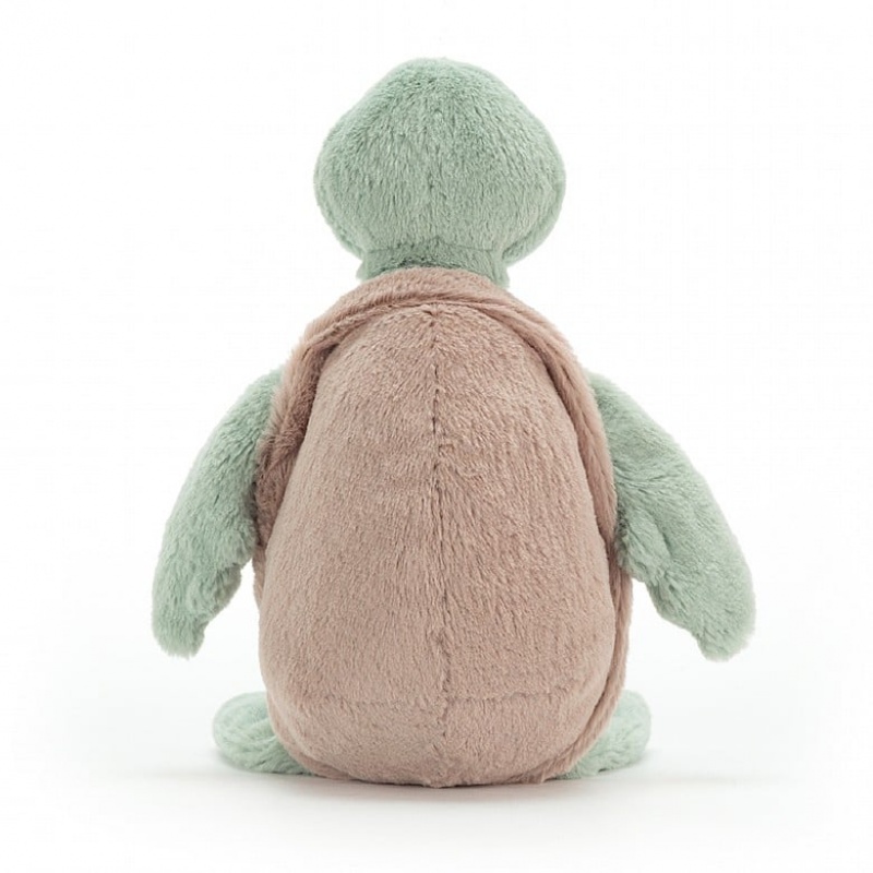 Medium Jellycat Bashful Turtle | 39PXAKJUC